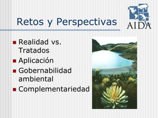 Retos y Perspectivas
Realidad vs.
Tratados
Aplicación
Gobernabilidad
ambiental
Complementariedad
 