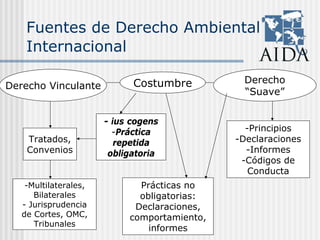 Fuentes de Derecho Ambiental
Internacional
CostumbreDerecho Vinculante
Derecho
“Suave”
Tratados,
Convenios
-Multilaterales,
Bilaterales
- Jurisprudencia
de Cortes, OMC,
Tribunales
- ius cogens
-Práctica
repetida
obligatoria
Prácticas no
obligatorias:
Declaraciones,
comportamiento,
informes
-Principios
-Declaraciones
-Informes
-Códigos de
Conducta
 