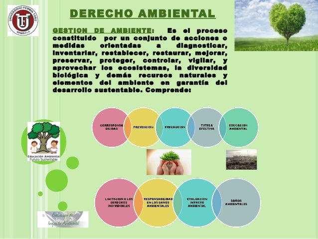 Derecho ambiental