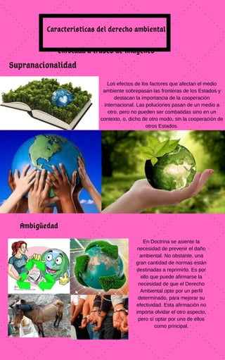 Caracteristicas del derecho ambiental
enfocada a través de imágenes
Supranacionalidad
Los efectos de los factores que afectan el medio
ambiente sobrepasan las fronteras de los Estados y
destacan la importancia de la cooperación
internacional. Las poluciones pasan de un medio a
otro, pero no pueden ser combatidas sino en un
contexto, o, dicho de otro modo, sin la cooperación de
otros Estados.
Ambigüedad
En Doctrina se asiente la
necesidad de prevenir el daño
ambiental. No obstante, una
gran cantidad de normas están
destinadas a reprimirlo. Es por
ello que puede afirmarse la
necesidad de que el Derecho
Ambiental opte por un perfil
determinado, para mejorar su
efectividad. Esta afirmación no
importa olvidar el otro aspecto,
pero sí optar por uno de ellos
como principal.
 