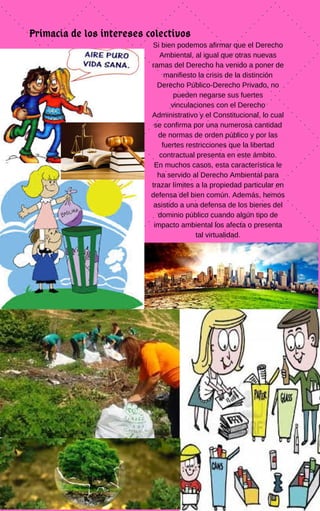 Primacía de los intereses colectivos
Si bien podemos afirmar que el Derecho
Ambiental, al igual que otras nuevas
ramas del Derecho ha venido a poner de
manifiesto la crisis de la distinción
Derecho Público-Derecho Privado, no
pueden negarse sus fuertes
vinculaciones con el Derecho
Administrativo y el Constitucional, lo cual
se confirma por una numerosa cantidad
de normas de orden público y por las
fuertes restricciones que la libertad
contractual presenta en este ámbito.
En muchos casos, esta característica le
ha servido al Derecho Ambiental para
trazar límites a la propiedad particular en
defensa del bien común. Además, hemos
asistido a una defensa de los bienes del
dominio público cuando algún tipo de
impacto ambiental los afecta o presenta
tal virtualidad.
 
