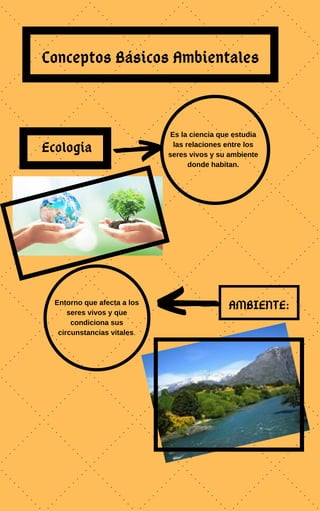 Conceptos Básicos Ambientales
Ecologia
Es la ciencia que estudia
las relaciones entre los
seres vivos y su ambiente
donde habitan.
AMBIENTE:Entorno que afecta a los
seres vivos y que
condiciona sus
circunstancias vitales.
 