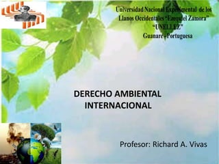 DERECHO AMBIENTAL
INTERNACIONAL
Profesor: Richard A. Vivas
 