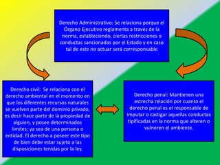 Derecho Administrativo: Se relaciona porque el
Órgano Ejecutivo reglamenta a través de la
norma, estableciendo, ciertas restricciones o
conductas sancionadas por el Estado y en caso
tal de este no actuar será corresponsable
Derecho civil: Se relaciona con el
derecho ambiental en el momento en
que los diferentes recursos naturales
se vuelven parte del dominio privado,
es decir hace parte de la propiedad de
alguien, y posee determinados
límites; ya sea de una persona o
entidad. El derecho a poseer este tipo
de bien debe estar sujeto a las
disposiciones tenidas por la ley.
Derecho penal: Mantienen una
estrecha relación por cuanto el
derecho penal es el responsable de
imputar o castigar aquellas conductas
tipificadas en la norma que alteren o
vulneren el ambiente.
 