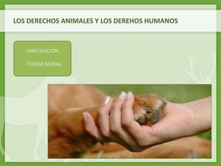 LOS DERECHOS ANIMALES Y LOS DEREHOS HUMANOS
- VINCULACION
- TEORIA MORAL
 