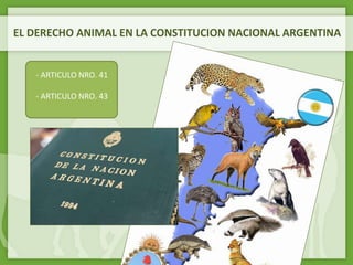 EL DERECHO ANIMAL EN LA CONSTITUCION NACIONAL ARGENTINA
- ARTICULO NRO. 41
- ARTICULO NRO. 43
 