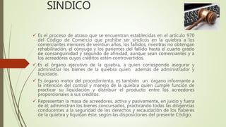 SINDICO
 Es el proceso de atraso que se encuentran establecidas en el artículo 970
del Código de Comercio que prohíbe ser síndicos en la quiebra a los
comerciantes menores de veintiún años, los fallidos, mientras no obtengan
rehabilitación, el cónyuge y los parientes del fallido hasta el cuarto grado
de consanguinidad y segundo de afinidad, aunque sean comerciantes y a
los acreedores cuyos créditos estén controvertidos.
 Es el órgano ejecutivo de la quiebra, a quien corresponde asegurar y
administrar los bienes de la quiebra quien además de administrador y
liquidado.
 Es órgano motor del procedimiento, es también un órgano informante a
la intención del control y manejo de la quiebra quien cumple función de
practicar su liquidación y distribuir el producto entre los acreedores
proporcionales a sus créditos.
 Representan la masa de acreedores, activa y pasivamente, en juicio y fuera
de él; administran los bienes concursados, practicando todas las diligencias
conducentes a la seguridad de los derechos y recaudación de los haberes
de la quiebra y liquidan éste, según las disposiciones del presente Código.
 