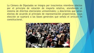 La Cámara de Diputados se integra por trescientos miembros electos
por el principio de votación de mayoría relativa, atendiendo al
sistema de distritos electorales uninominales; y doscientos que serán
electos de acuerdo al principio de representación proporcional, cuya
elección se sujetará a las bases generales que señala el artículo 54
constitucional.
 
