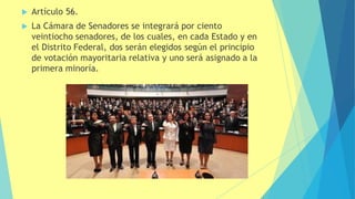  Artículo 56.
 La Cámara de Senadores se integrará por ciento
veintiocho senadores, de los cuales, en cada Estado y en
el Distrito Federal, dos serán elegidos según el principio
de votación mayoritaria relativa y uno será asignado a la
primera minoría.
 