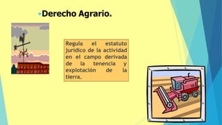 Regula el estatuto
jurídico de la actividad
en el campo derivada
de la tenencia y
la
explotación de
tierra.
60
•Derecho Agrario.
 