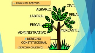  RAMAS DEL DERECHO:
DERECHO
CONSTITUCIONAL
(DERECHO OBJETIVO) 7
FISCAL
ADMINISTRATIVO
AGRARIO
LABORAL
CIVIL
PENAL
MERCANTIL
 