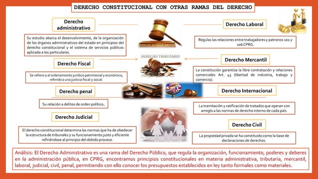 Derecho Constitucional Relacion Con Otras Ramas