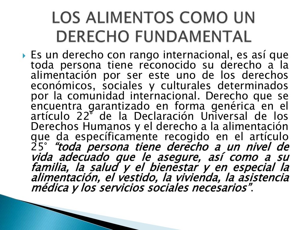 Derecho de alimentos