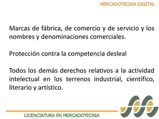 Marcas de fábrica, de comercio y de servicio y los 
nombres y denominaciones comerciales. 
Protección contra la competencia desleal 
Todos los demás derechos relativos a la actividad 
intelectual en los terrenos industrial, científico, 
literario y artístico. 
 