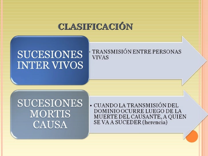 Ensayo de sucesion mortis causa
