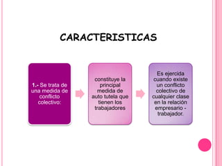 CARACTERISTICAS