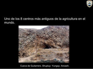 Uno de los 8 centros más antiguos de la agricultura en el
mundo.
Cueva de Guitarrero. Shupluy- Yungay- Ancash.
 