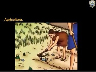 Agricultura.
 