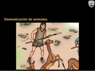 Domesticación de animales.
 