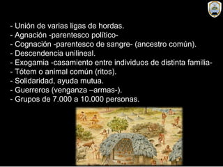 - Unión de varias ligas de hordas.
- Agnación -parentesco político-
- Cognación -parentesco de sangre- (ancestro común).
- Descendencia unilineal.
- Exogamia -casamiento entre individuos de distinta familia-
- Tótem o animal común (ritos).
- Solidaridad, ayuda mutua.
- Guerreros (venganza –armas-).
- Grupos de 7.000 a 10.000 personas.
 