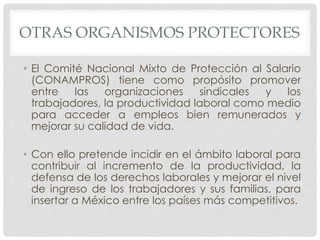 OTRAS ORGANISMOS PROTECTORES 
• El Comité Nacional Mixto de Protección al Salario 
(CONAMPROS) tiene como propósito promover 
entre las organizaciones sindicales y los 
trabajadores, la productividad laboral como medio 
para acceder a empleos bien remunerados y 
mejorar su calidad de vida. 
• Con ello pretende incidir en el ámbito laboral para 
contribuir al incremento de la productividad, la 
defensa de los derechos laborales y mejorar el nivel 
de ingreso de los trabajadores y sus familias, para 
insertar a México entre los países más competitivos. 
 