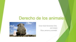 Derecho de los animales
Víctor Osiel Hernández Ortiz
A01154323
Ética, persona y sociedad.
 