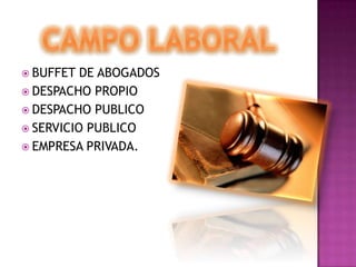CAMPO LABORALBUFFET DE ABOGADOSDESPACHO PROPIODESPACHO PUBLICOSERVICIO PUBLICOEMPRESA PRIVADA.