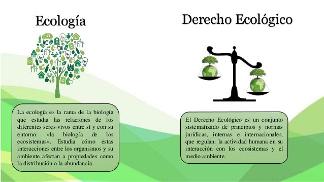 Derecho ecologico