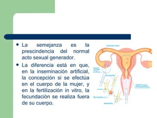    La    semejanza        es     la
    prescindencia del normal
    acto sexual generador.
   La diferencia está en que,
    en la inseminación artificial,
    la concepción si se efectúa
    en el cuerpo de la mujer, y
    en la fertilización in vitro, la
    fecundación se realiza fuera
    de su cuerpo.
 