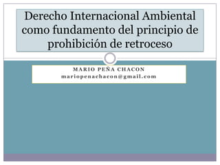 Derecho Internacional Ambiental
como fundamento del principio de
prohibición de retroceso
MARIO PEÑA CHACON
mariopenachacon@gmail.com

 