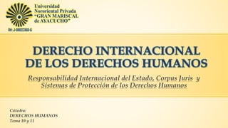 Responsabilidad Internacional del Estado, Corpus Juris y
Sistemas de Protección de los Derechos Humanos
Cátedra:
DERECHOS HUMANOS
Tema 10 y 11
 