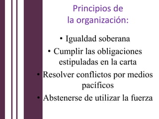 Principios de
        la organización:
      • Igualdad soberana
   • Cumplir las obligaciones
      estipuladas en la carta
• Resolver conflictos por medios
             pacíficos
• Abstenerse de utilizar la fuerza
 