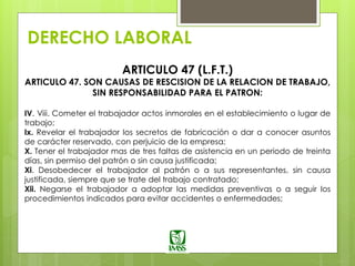 DERECHO LABORAL
ARTICULO 47 (L.F.T.)
ARTICULO 47. SON CAUSAS DE RESCISION DE LA RELACION DE TRABAJO,
SIN RESPONSABILIDAD PARA EL PATRON:
IV. Viii. Cometer el trabajador actos inmorales en el establecimiento o lugar de
trabajo;
Ix. Revelar el trabajador los secretos de fabricación o dar a conocer asuntos
de carácter reservado, con perjuicio de la empresa;
X. Tener el trabajador mas de tres faltas de asistencia en un periodo de treinta
días, sin permiso del patrón o sin causa justificada;
Xi. Desobedecer el trabajador al patrón o a sus representantes, sin causa
justificada, siempre que se trate del trabajo contratado;
Xii. Negarse el trabajador a adoptar las medidas preventivas o a seguir los
procedimientos indicados para evitar accidentes o enfermedades;
 