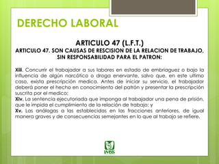DERECHO LABORAL
ARTICULO 47 (L.F.T.)
ARTICULO 47. SON CAUSAS DE RESCISION DE LA RELACION DE TRABAJO,
SIN RESPONSABILIDAD PARA EL PATRON:
Xiii. Concurrir el trabajador a sus labores en estado de embriaguez o bajo la
influencia de algún narcótico o droga enervante, salvo que, en este ultimo
caso, exista prescripción medica. Antes de iniciar su servicio, el trabajador
deberá poner el hecho en conocimiento del patrón y presentar la prescripción
suscrita por el medico;
Xiv. La sentencia ejecutoriada que imponga al trabajador una pena de prisión,
que le impida el cumplimiento de la relación de trabajo; y
Xv. Las análogas a las establecidas en las fracciones anteriores, de igual
manera graves y de consecuencias semejantes en lo que al trabajo se refiere.
 