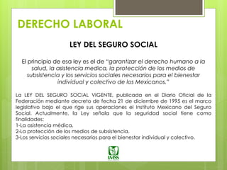 DERECHO LABORAL
LEY DEL SEGURO SOCIAL
El principio de esa ley es el de “garantizar el derecho humano a la
salud, la asistencia medica, la protección de los medios de
subsistencia y los servicios sociales necesarios para el bienestar
individual y colectivo de los Mexicanos.”
La LEY DEL SEGURO SOCIAL VIGENTE, publicada en el Diario Oficial de la
Federación mediante decreto de fecha 21 de diciembre de 1995 es el marco
legislativo bajo el que rige sus operaciones el Instituto Mexicano del Seguro
Social. Actualmente, la Ley señala que la seguridad social tiene como
finalidades:
1-La asistencia médica.
2-La protección de los medios de subsistencia.
3-Los servicios sociales necesarios para el bienestar individual y colectivo.
 