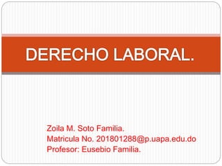 Zoila M. Soto Familia.
Matricula No. 201801288@p.uapa.edu.do
Profesor: Eusebio Familia.
 