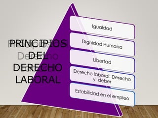 PRINCIPIOS
DEL
DERECHO
LABORAL
 