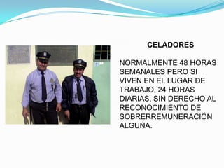 CELADORES

NORMALMENTE 48 HORAS
SEMANALES PERO SI
VIVEN EN EL LUGAR DE
TRABAJO, 24 HORAS
DIARIAS, SIN DERECHO AL
RECONOCIMIENTO DE
SOBRERREMUNERACIÓN
ALGUNA.
 