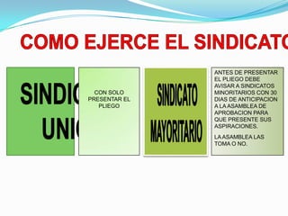ANTES DE PRESENTAR
               EL PLIEGO DEBE
               AVISAR A SINDICATOS
  CON SOLO     MINORITARIOS CON 30
PRESENTAR EL   DIAS DE ANTICIPACION
   PLIEGO      A LA ASAMBLEA DE
               APROBACION PARA
               QUE PRESENTE SUS
               ASPIRACIONES.
               LA ASAMBLEA LAS
               TOMA O NO.
 