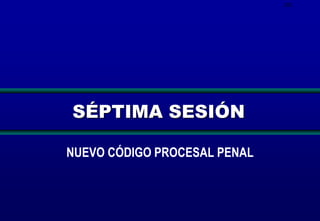 201

SÉPTIMA SESIÓN
NUEVO CÓDIGO PROCESAL PENAL

 