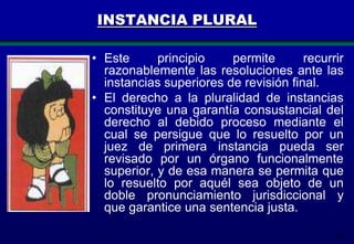 INSTANCIA PLURAL
• Este
principio
permite
recurrir
razonablemente las resoluciones ante las
instancias superiores de revisión final.
• El derecho a la pluralidad de instancias
constituye una garantía consustancial del
derecho al debido proceso mediante el
cual se persigue que lo resuelto por un
juez de primera instancia pueda ser
revisado por un órgano funcionalmente
superior, y de esa manera se permita que
lo resuelto por aquél sea objeto de un
doble pronunciamiento jurisdiccional y
que garantice una sentencia justa.
25

 