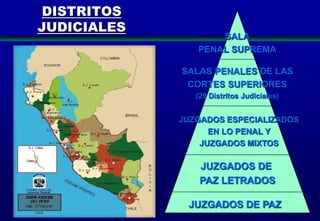 DISTRITOS
JUDICIALES

SALA
PENAL SUPREMA

SALAS PENALES DE LAS
CORTES SUPERIORES
(29 Distritos Judiciales)

JUZGADOS ESPECIALIZADOS
EN LO PENAL Y
JUZGADOS MIXTOS

JUZGADOS DE
PAZ LETRADOS
JUZGADOS DE PAZ
33

 