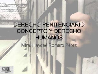 DERECHO PENITENCIARIO
CONCEPTO Y DERECHO
HUMANOS
Mtra. Haydeé Romero Pérez
 