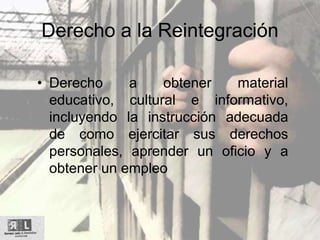 Derecho a la Reintegración
• Derecho a obtener material
educativo, cultural e informativo,
incluyendo la instrucción adecuada
de como ejercitar sus derechos
personales, aprender un oficio y a
obtener un empleo
 