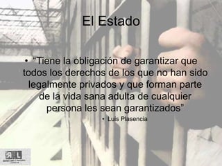 El Estado
• “Tiene la obligación de garantizar que
todos los derechos de los que no han sido
legalmente privados y que forman parte
de la vida sana adulta de cualquier
persona les sean garantizados”
• Luis Plasencia
 