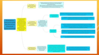Derecho Procesal Internacional