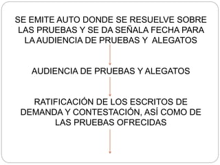 SE EMITE AUTO DONDE SE RESUELVE SOBRE
LAS PRUEBAS Y SE DA SEÑALA FECHA PARA
LA AUDIENCIA DE PRUEBAS Y ALEGATOS
AUDIENCIA DE PRUEBAS Y ALEGATOS
RATIFICACIÓN DE LOS ESCRITOS DE
DEMANDA Y CONTESTACIÓN, ASÍ COMO DE
LAS PRUEBAS OFRECIDAS
 
