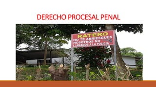 DERECHO PROCESAL PENAL
 