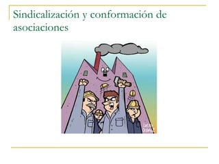 Sindicalización y conformación de asociaciones