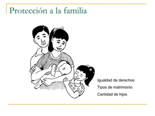 Protección a la familia Igualdad de derechos Tipos de matrimonio Cantidad de hijos